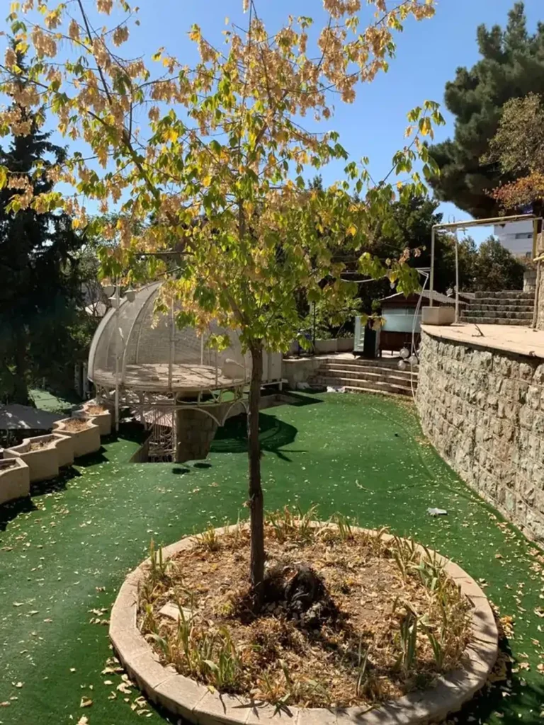 روف گاردن در محله اوین