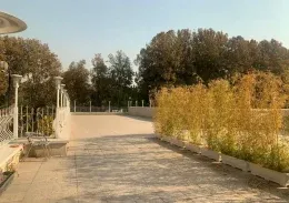 رزرو روف گاردن 250 نفره فرمانیه برای مراسم خصوصی